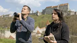 Ibis chauve : le retour d'un oiseau rare