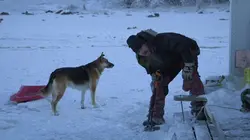Ice Lake Rebels