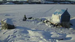 Visuel de Ice Lake Rebels
