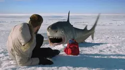 Sur MCM à 22h35 : Ice Sharks : requins des glaces