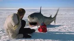 Ice Sharks : requins des glaces en streaming