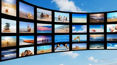 Isère : sur les versants de la Chartreuse les daims