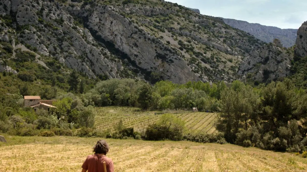 Ici rugissaient les lions