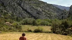 Ici rugissaient les lions