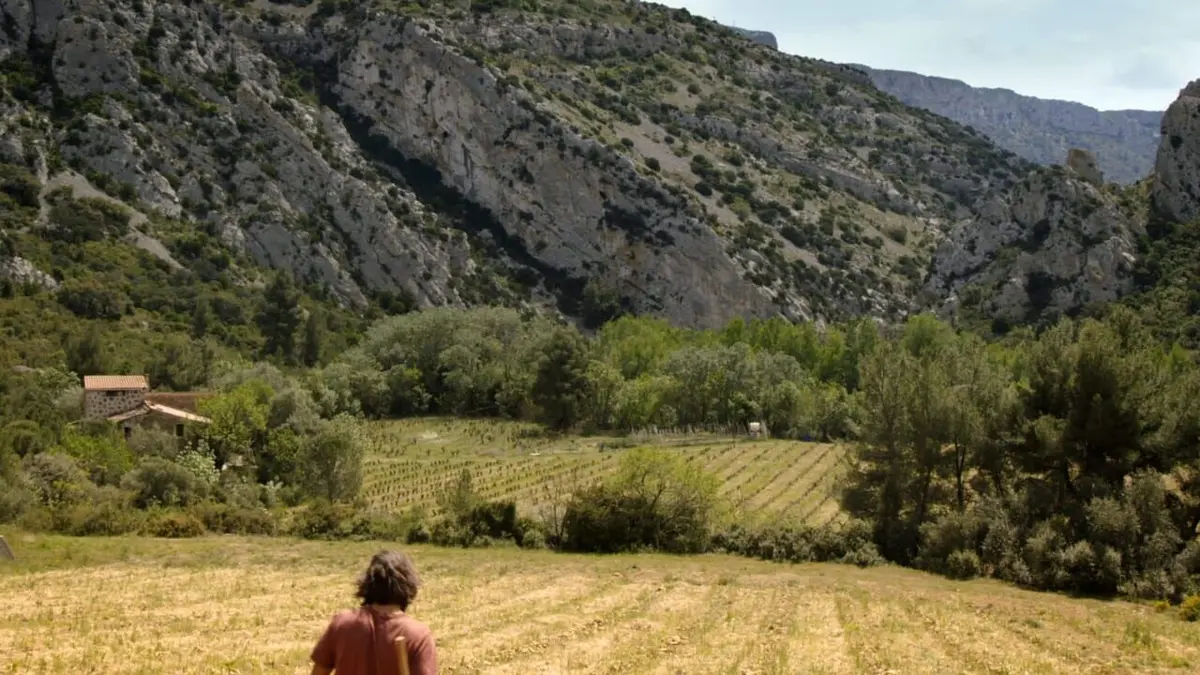 Ici rugissaient les lions