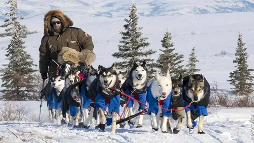 Casting Iditarod, la dernière course de Nicolas Vanier