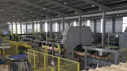 Ikea, le seigneur des forêts