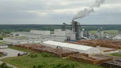 Ikea, le seigneur des forêts