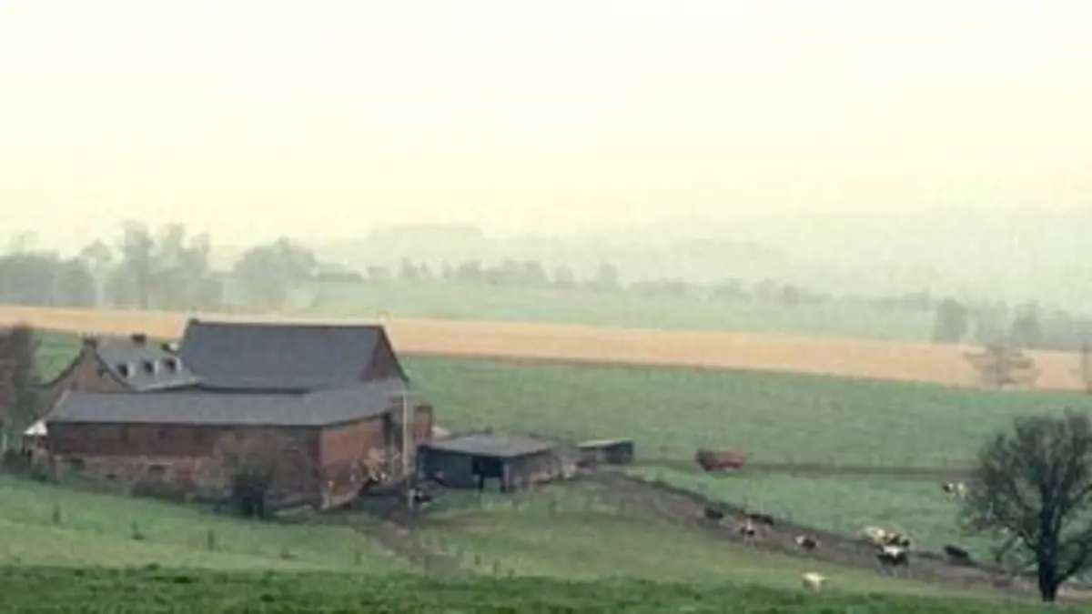 Il a plu sur le grand paysage