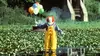 le clown dans "Il" est revenu Partie 1 (1990)