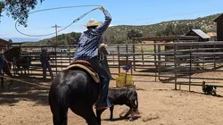 Il était un meurtre dans l'Ouest