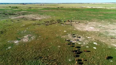 Il était une fois dans la prairie