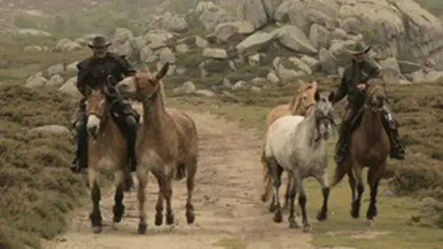Il était une fois en Corse
