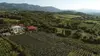 Il était une fois en Géorgie : Baia et ses vignes