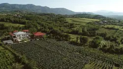 Visuel de Il était une fois en Géorgie : Baia et ses vignes