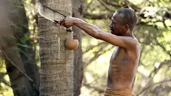 Il était une fois l'Humanité E11 Progrès