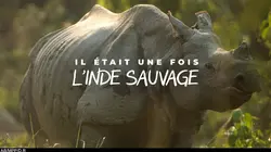 Il était une fois l'Inde sauvage