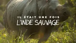 Il était une fois l'Inde sauvage