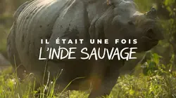 Il était une fois l'Inde sauvage