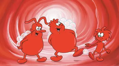 Replay du programme Il était une fois... la vie