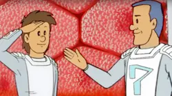 Il était une fois... la vie