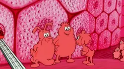 Il était une fois... la vie S01E01 La planète cellule