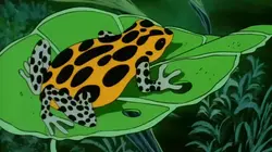 Il était une fois... les explorateurs