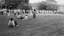 Il était une fois les gènes