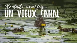 Il était une fois un vieux canal