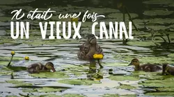 Il était une fois un vieux canal
