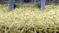 Visuel de Il était une frite une fois