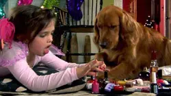 Visuel de Il faut sauver Semper !