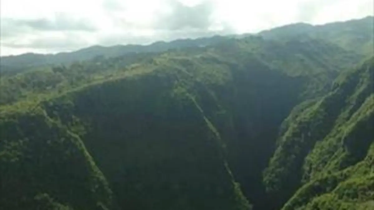Ile de La Réunion : au secours des plantes