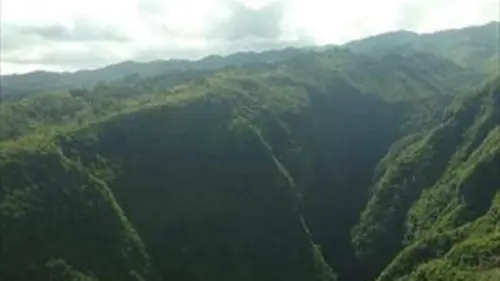 Ile de La Réunion : au secours des plantes