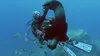 2017 • Ile Maurice, l'homme qui parle aux cachalots