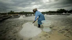 Ile Maurice, la douceur de l'océan Indien