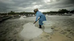 Ile Maurice, la douceur de l'océan Indien