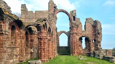 Les îles Farne et Shetland