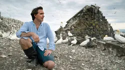 Iles secrètes de Grande-Bretagne Les îles Farne et Shetland