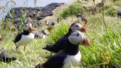 Iles secrètes de Grande-Bretagne