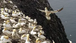 Iles secrètes de Grande-Bretagne