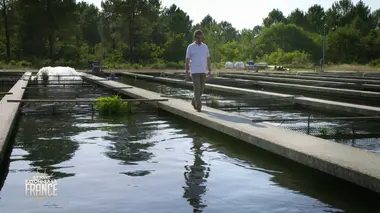 La Nouvelle-Aquitaine à la conquête du monde