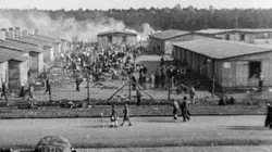 Ils ont libéré Bergen-Belsen