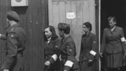 Ils ont libéré Bergen-Belsen