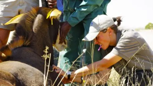 Ils partent au bout du monde pour changer de vie