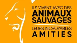 Ils vivent avec des animaux sauvages : leurs incroyables amitiés