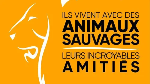 Ils vivent avec des animaux sauvages : leurs incroyables amitiés