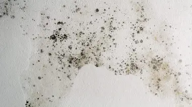 Images à l'appui
