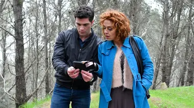 Des plantes au milieu des pierres