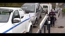 Immersion dans une méga fourrière